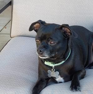 Meet your Posher, Jason